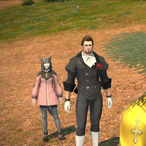 《命运方舟》深度解析：全面开放FAQ攻略揭秘秘籍