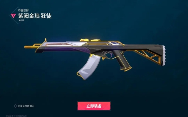 《无畏契约》紫金套装深度解析：揭秘性能与美学新价值