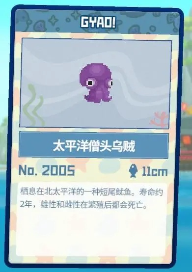 深度解析：GYAO养鱼达人戴夫独家心得分享