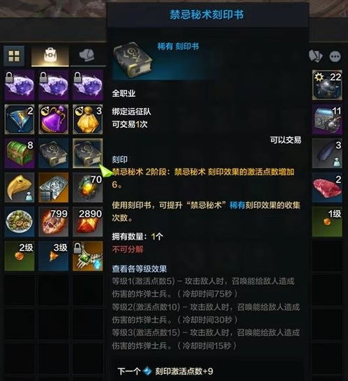 《命运方舟》国服T3速成攻略，揭秘高效升级新秘籍