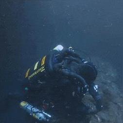 《戴夫潜水秘籍》海鲜大餐搭配攻略，解锁海洋美味新境界