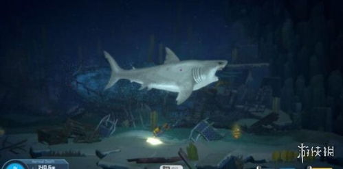 白鲸藏身之谜：揭秘《潜水员戴夫》探秘之旅