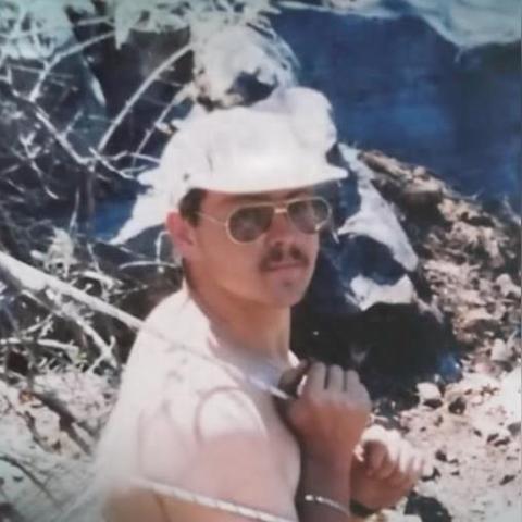 池塘养殖新秘籍：戴夫潜水鱼儿乐