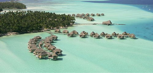 岛岛之谜，2025年你的岛屿为何还缺那份梦幻感？