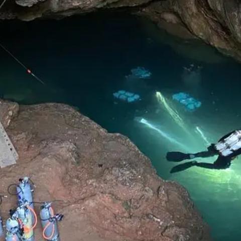 《戴夫潜水餐厅经营秘籍：解锁盈利新境界》