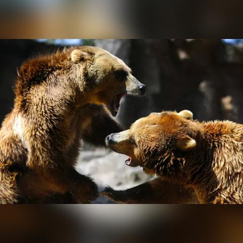 羊羊大世界通关秘籍：6月23日羊了个羊全新攻略解锁