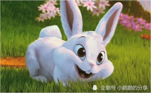 拯救濒危物种，挑战暗黑马兔新纪元