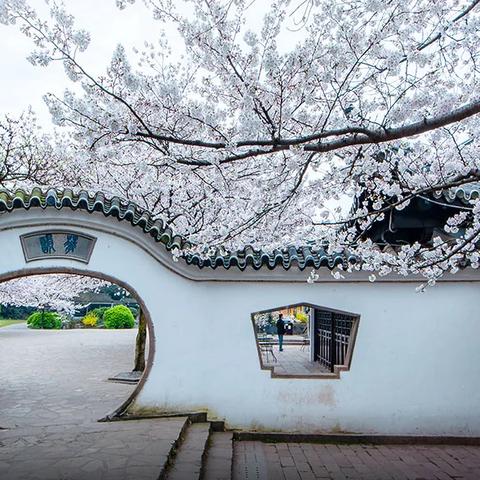 《暗黑4》85层BD攻略：单刷秘境技巧揭秘，高效通关新攻略！