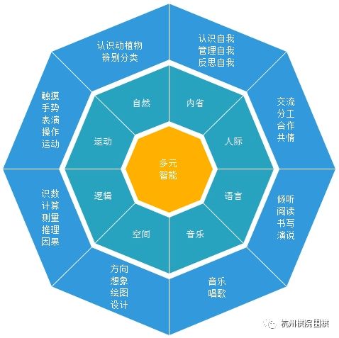 艾尔海森一图流攻略，深度解析高效培养新秘籍