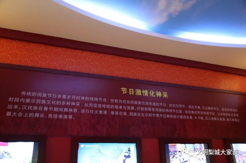 冬城博物馆4区全S攻略解析：高效评价教程新攻略