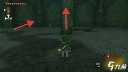 《塞尔达传说：泪之王国》全防具攻略指南，升级材料速查秘籍