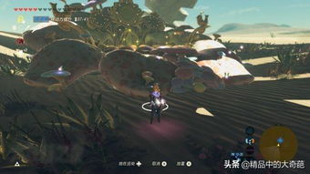 《塞尔达传说》马匹捕捉攻略：揭秘445匹神兽藏身之地