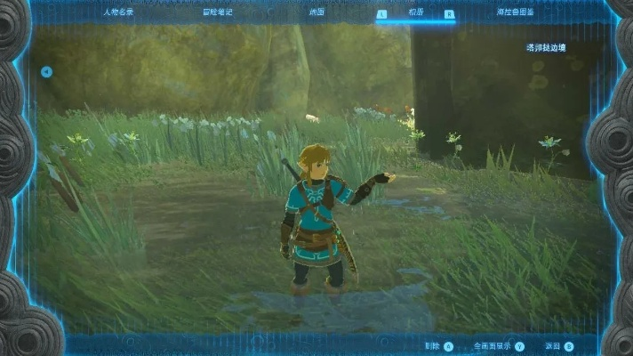 《塞尔达传说》泪滴宝藏：宁静公主采集秘境大揭秘！