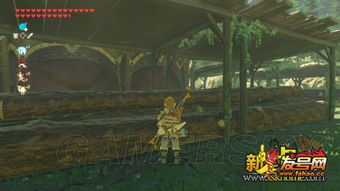 《塞尔达传说王国之泪》高效攻略：瘴气触手幻影加侬战法详解