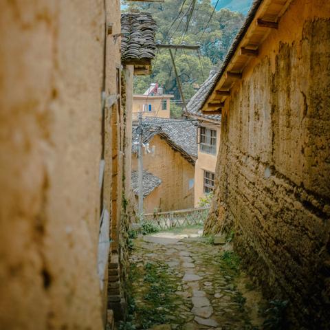 《塞尔达传说》大妖精泉解锁攻略：揭秘高效解锁新秘境