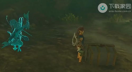 《塞尔达传说》汀空裤装攻略：轻松解锁汀空套装新秘籍