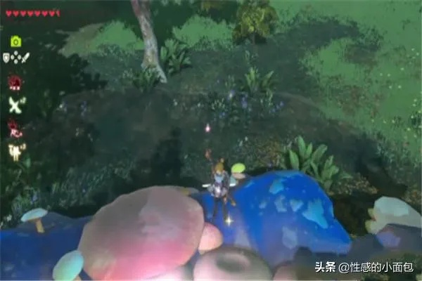 《塞尔达传说》妖精捕捉攻略，解锁神秘新技能！