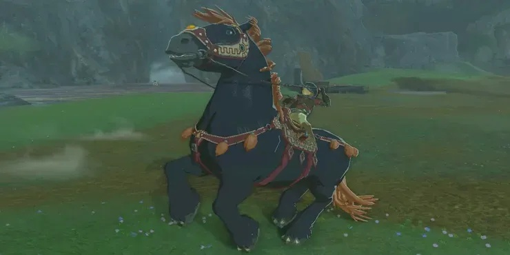 《塞尔达传说》泪之王国：探寻神秘特殊坐骑秘录