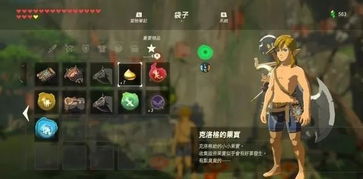 《塞尔达传说》开荒攻略：新手必看泪点满满技巧分享