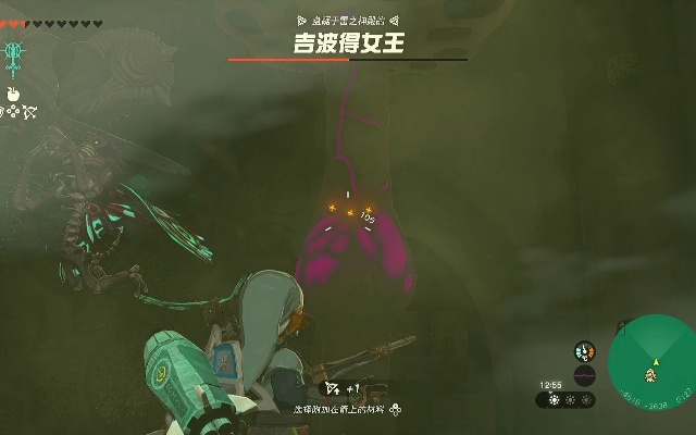 《塞尔达传说》雷神殿女王吉波得攻略：高效击败技巧解析