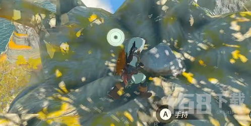 探索克洛格森林：解锁《塞尔达传说王国之泪》神秘新篇章