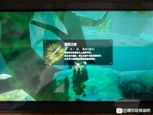 《塞尔达传说》萨莉娅湖5连森民之弓高效攻略，解锁神秘新技能