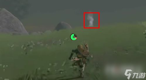 《塞尔达传说》探秘泡泡拉高地鸟望台攻略，解锁神秘塔门新玩法