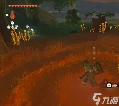 《塞尔达传说王国之泪》全图鉴解锁秘籍，海拉鲁图鉴开启攻略大揭秘