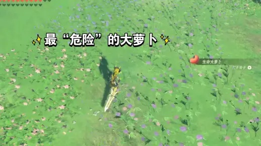 《塞尔达传说》生命小萝卜全攻略，高效收集新技巧揭秘！