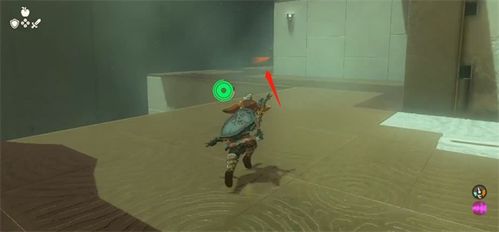 《塞尔达传说王国之泪》欧罗奇乌姆神庙破解攻略，深度解析新视角