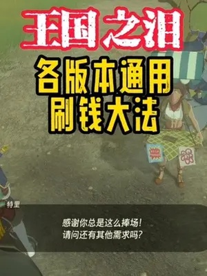 《塞尔达传说王国之泪》速刷财富攻略：高效赚钱新技巧