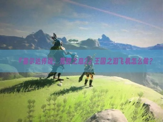 《塞尔达传说》登顶秘籍：王国之泪无限高飞攻略大揭秘