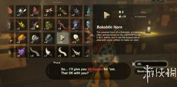 《塞尔达传说》前期料理售价攻略：深度解析赚钱秘籍