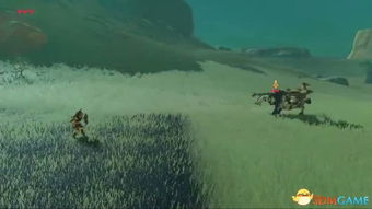 《塞尔达传说》新手必看！人马战攻略，轻松掌握制胜技巧