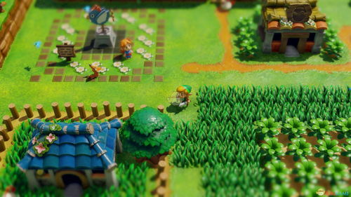 《塞尔达传说》空岛全呀哈哈速收攻略，解锁神秘新技能