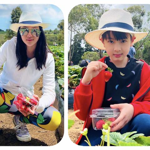 吴尊女儿neinei恋爱传闻，吴尊回应：尊重成长，不强制干预