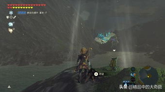 《塞尔达传说》黄金马捕获攻略：揭秘高效捕捉技巧！