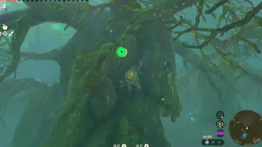 《塞尔达传说》树根迷宫探秘：解锁王国之泪新篇章