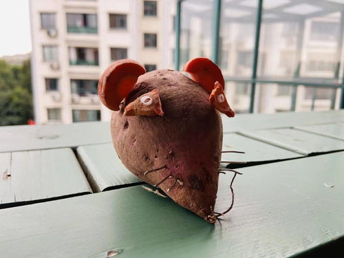 律动之城音乐肉鸽动作探秘之旅