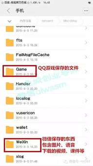 盛大防沉迷认证总失败？2025终极破解术首次曝光