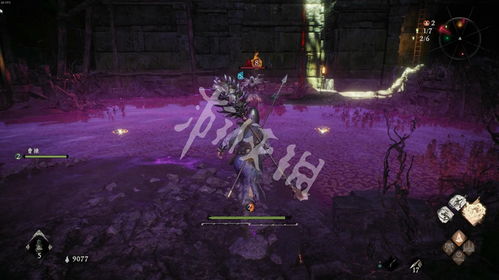 《卧龙苍天陨落》1.07版革新揭秘：深度解析全新价值体验