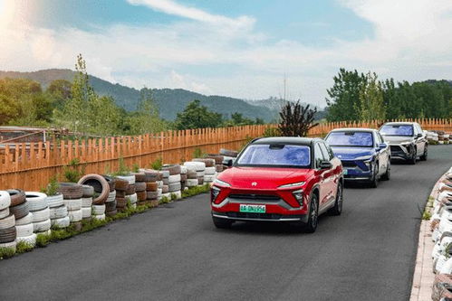 丁真喜提蔚来新ET5T，3分钟换电体验新升级