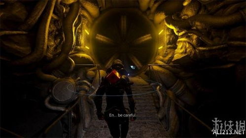 塔西斯堡宝藏攻略：深度解析收集品秘境