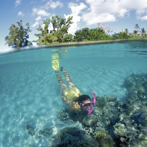 《全境封锁2》地下世界宝藏分布攻略，解锁地下世界全箱子位置秘籍