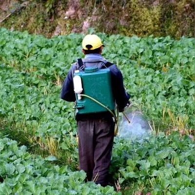 《生化危机2重制版》除草剂秘制配方大公开，高效攻略解析！