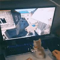 青春与成熟，囧图揭秘：未成年勿入的年龄界限新探