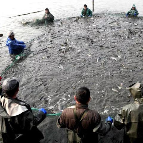 《逆水寒》碧波微澜奇遇攻略：轻松触发新玩法，丰厚奖励等你拿