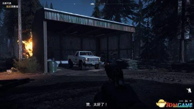 《孤岛惊魂5》全剧情攻略揭秘：深度解析生存技巧与策略