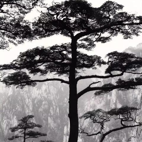 《潜行者2》1.7更新大师级挑战全新开启，深度体验极限冒险之旅