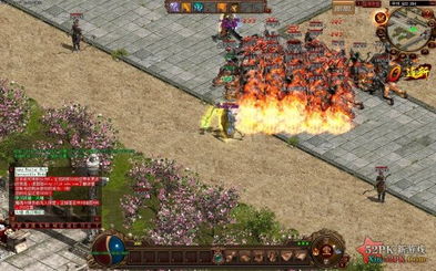 传世无双论坛，2025年玩家为何疯狂涌入这个社区秘境？